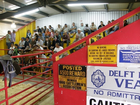 The horse auction at  the Lachute Farmers Market is a great place to get deals